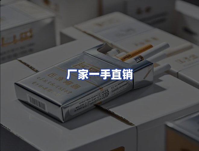 专业团队